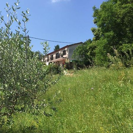 Apartment Cimbora, Salara Farmhouse Копер Экстерьер фото