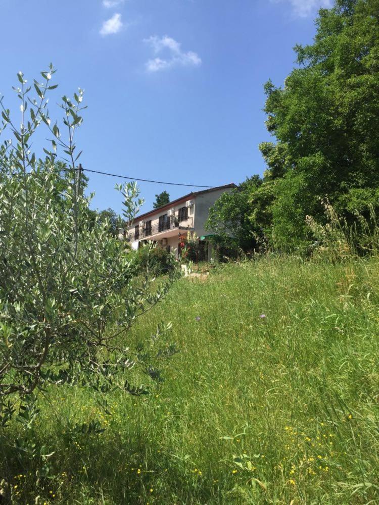 Apartment Cimbora, Salara Farmhouse Копер Экстерьер фото