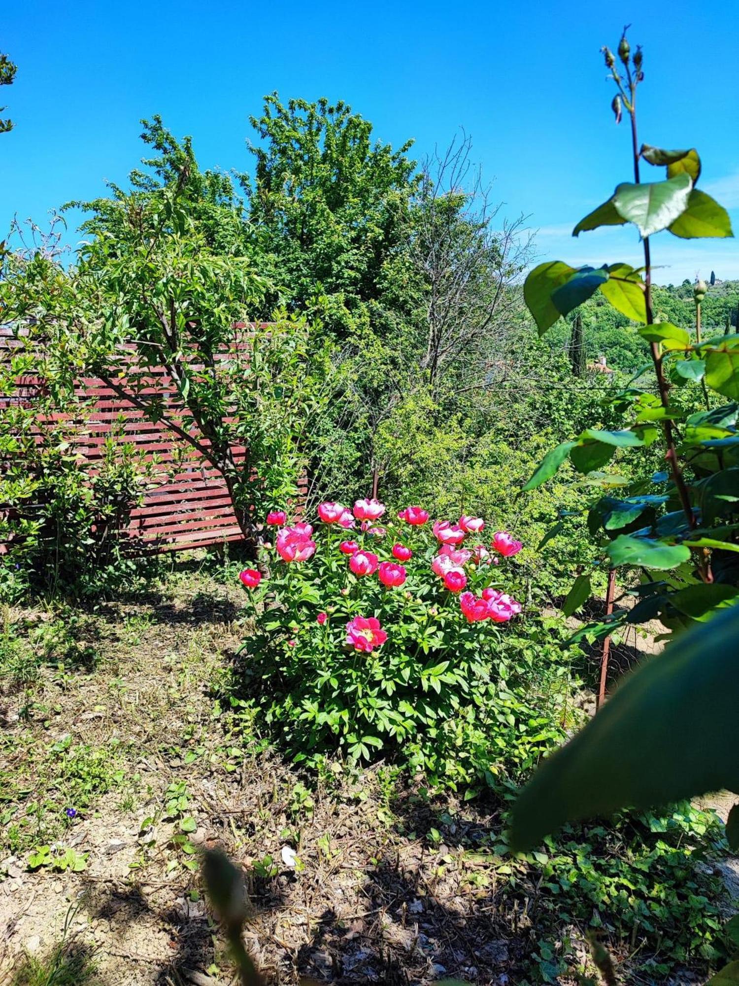 Apartment Cimbora, Salara Farmhouse Копер Экстерьер фото